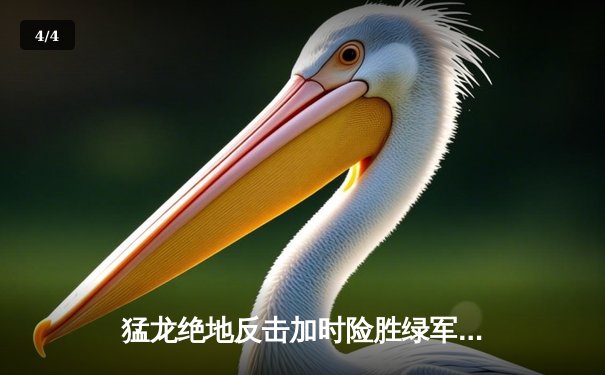 猛龙绝地反击加时险胜绿军，伦纳德狂砍45分捍卫主场 - 4